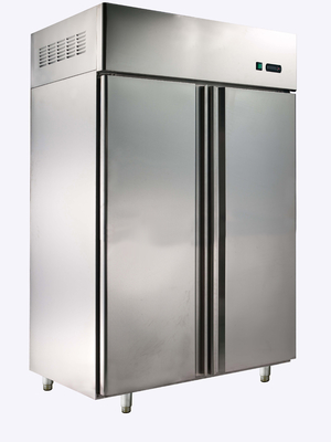 Διπλό εμπορικό όρθιο ψυγείο πορτών